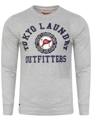 Brisk Applique Long Sleeve Top in Light Grey Marl - Tokyo Laundry