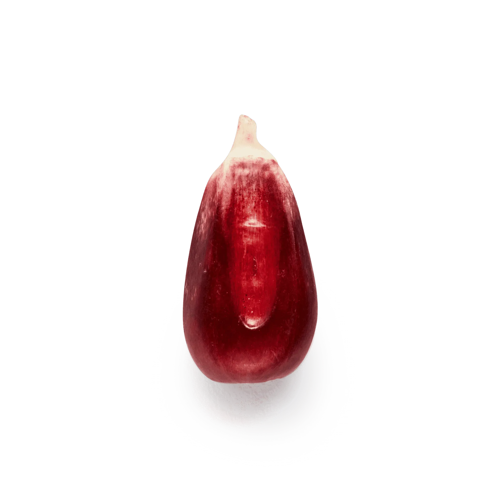 Red Cónico (Wholesale)