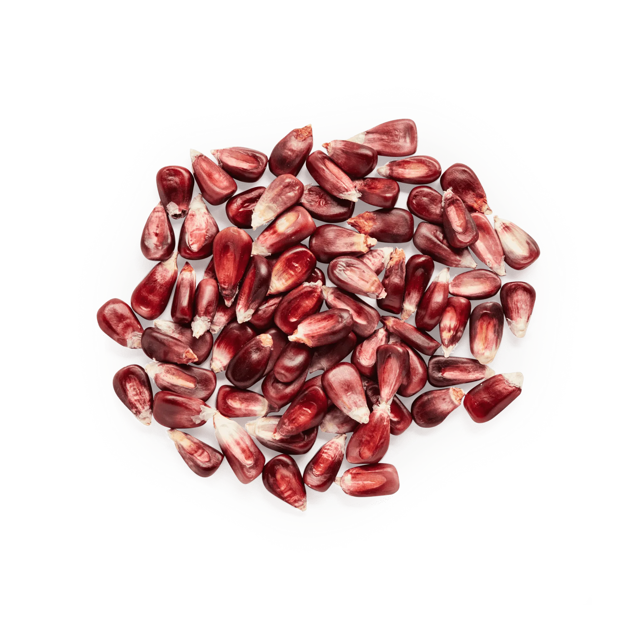 Red Cónico (Wholesale)